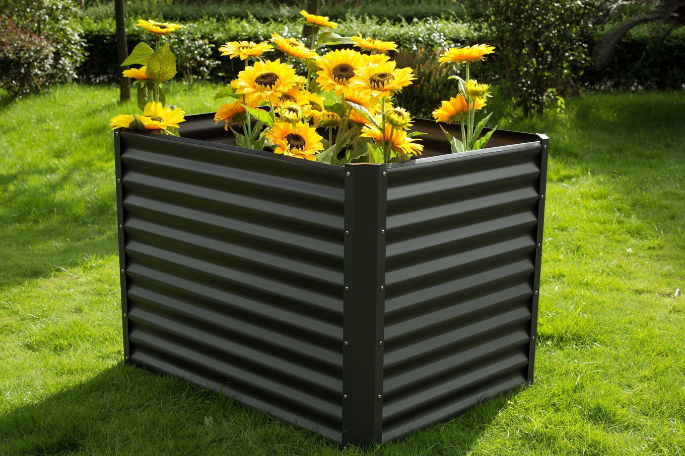 OUTFLEXX Podniesione grządki, antracyt, stal aluminiowo-cynkowa, malowana proszkowo, 120 x 90 x 84 cm, rozszerzalne za pomocą akcesoriów 14249__1