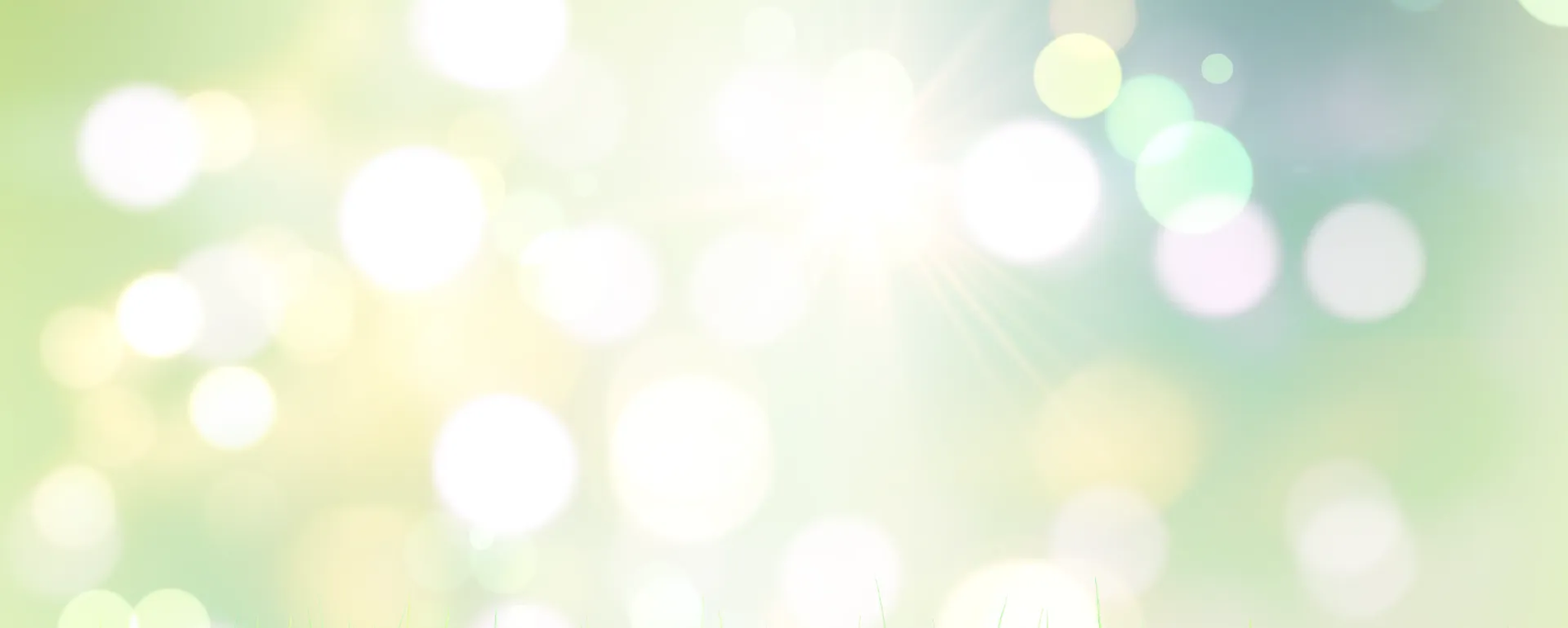 Ekskluzywne marki w wyprzedaży